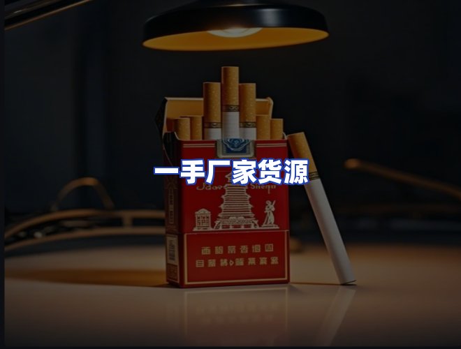 专业团队